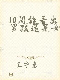 10周能看出来男孩还是女孩