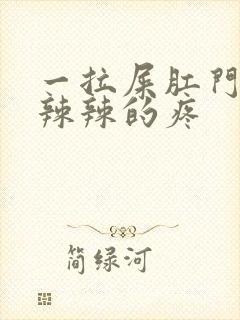 一拉屎肛门就火辣辣的疼