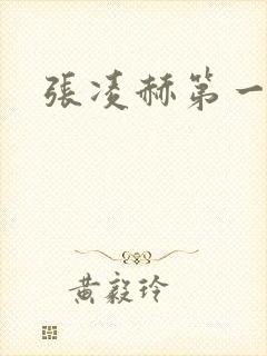 张凌赫第一部剧