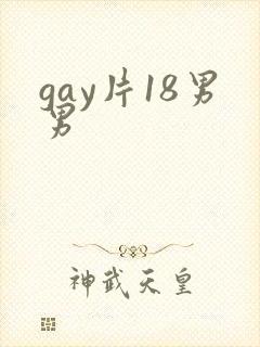 gay片18男男封面