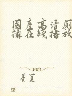 国产高清厕所盗摄在线播放