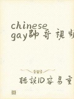 chinesegay帅哥视频