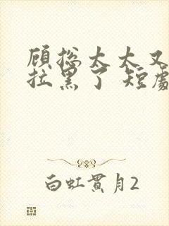 顾总太太又把你拉黑了 短剧