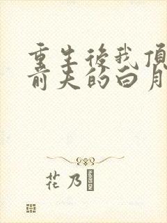 重生后我顶替了前夫的白月光完结