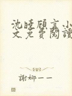 沈晓顾言小说全文免费阅读封面