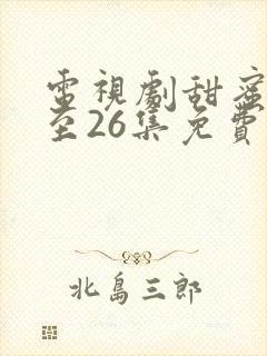 电视剧甜蜜蜜1至26集免费观看封面