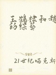 王鹤棣和赵露思的综艺