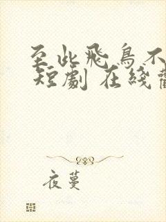 至此飞鸟不相逢 短剧 在线观看