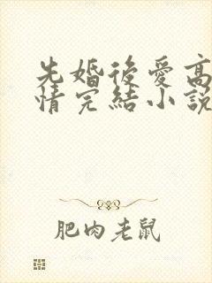 先婚后爱高干言情完结小说封面