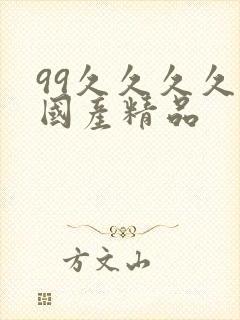 99久久久久久国产精品封面