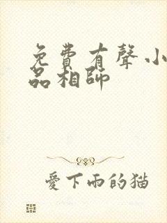 免费有声小说超品相师