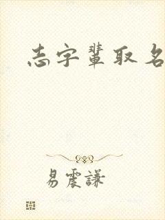 志字辈取名男孩