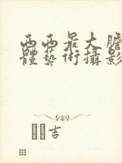 西西最大胆的人体艺术摄影封面