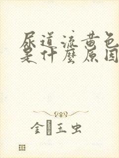 尿道流黄色液体是什么原因