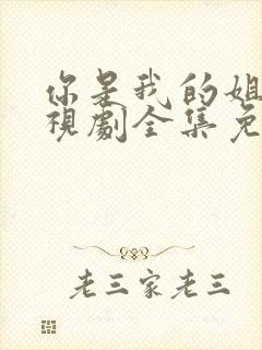 你是我的姐妹电视剧全集免费