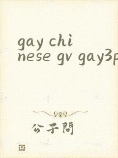 gay chinese gv gay3p封面