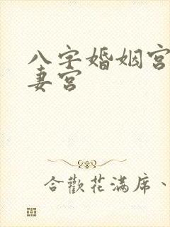 八字婚姻宫和夫妻宫封面