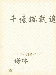 千亿总裁追妻忙