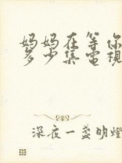 妈妈在等你一共多少集电视剧封面