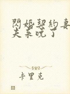 闪婚契约妻:为夫来晚了