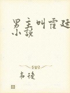 男主叫霍廷深的小说