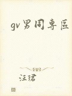 gv男同专区