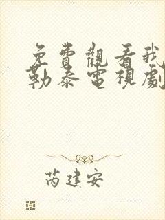 免费观看我的阿勒泰电视剧