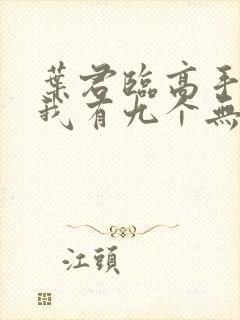 叶君临高手下山我有九个无敌师父