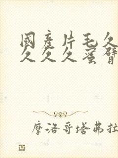 国产片毛久久久久久久蜜臂