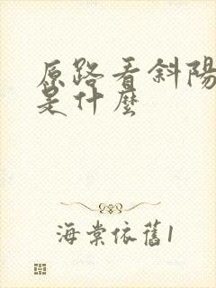 原路看斜阳讲的是什么