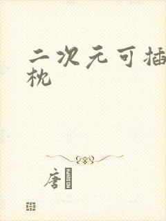 二次元可插入抱枕