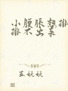 小腹胀想排便又排不出来