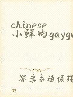 chinese小鲜肉gaygv