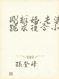 刚离婚,老婆就跪求复合小说免费看