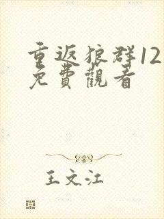 重返狼群12集免费观看