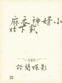 麻衣神婿小说txt下载