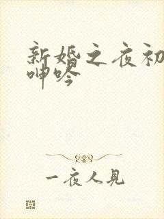新婚之夜初次的呻吟