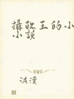 摄政王的小闲妻小说