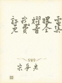 许我耀眼电视剧免费看全集封面