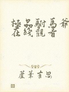 极品驸马爷短剧在线观看