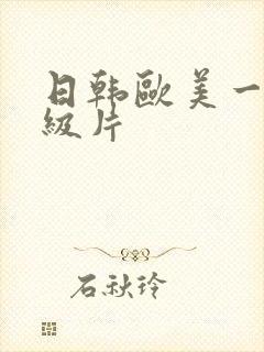 日韩欧美一级二级片