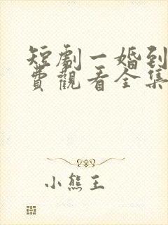 短剧一婚到底免费观看全集高清封面