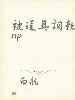 被道具调教玩弄np