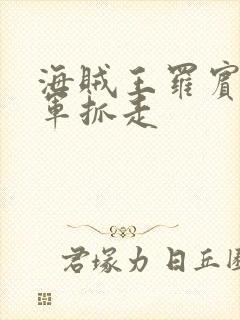 海贼王罗宾被海军抓走封面