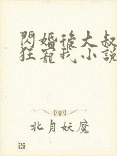 闪婚后大叔每天狂宠我小说完整免费