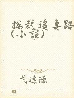 总裁追妻路漫漫(小说)