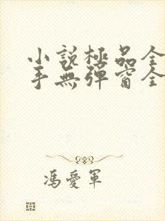 小说极品全能高手无弹窗全文免费阅读