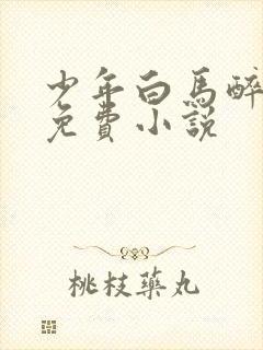 少年白马醉春风免费小说