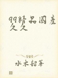 99精品国产久久久封面