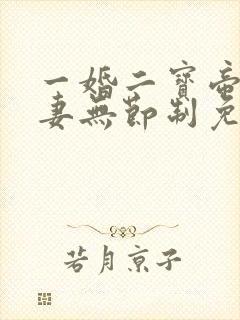 一婚二宝帝少宠妻无节制免费阅读